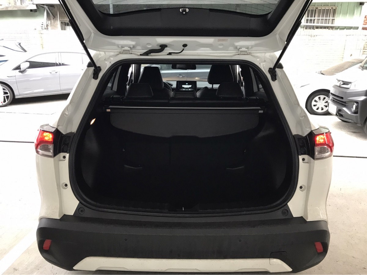 trunk